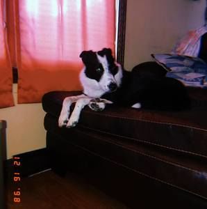 Meet your Posher, Kiley